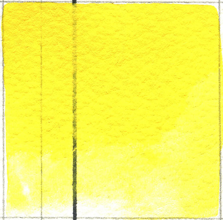 11ml Benzimidazolone Yellow Watercolor
