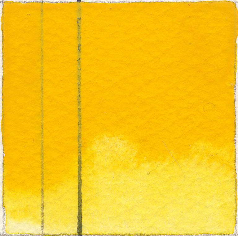 11ml  Diarylide Yellow Watercolor