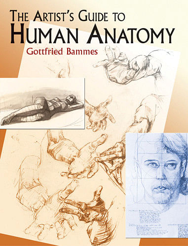 The Artist’s Guide to Human Anatomy