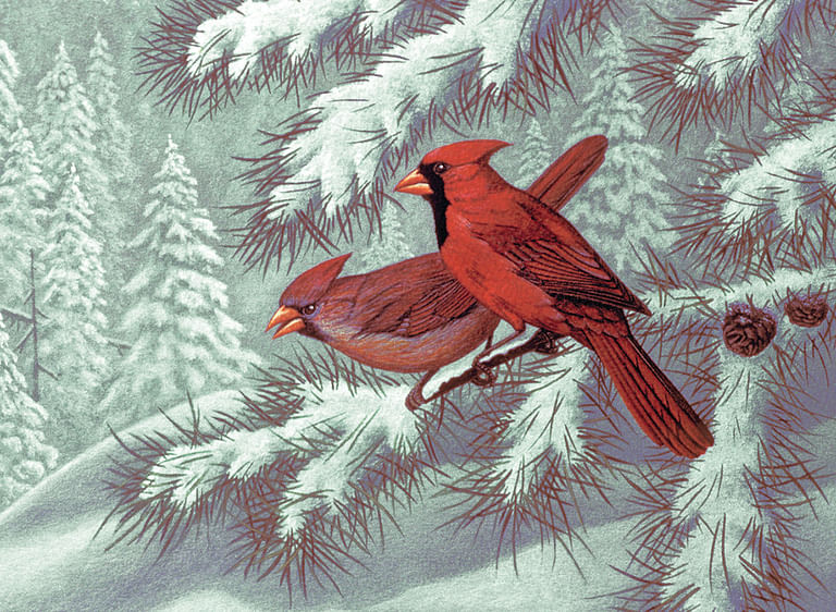 Cardinals Painting by Numbers Kit