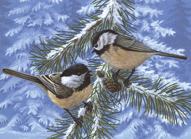 Pine Birds Painting by Numbers Kit