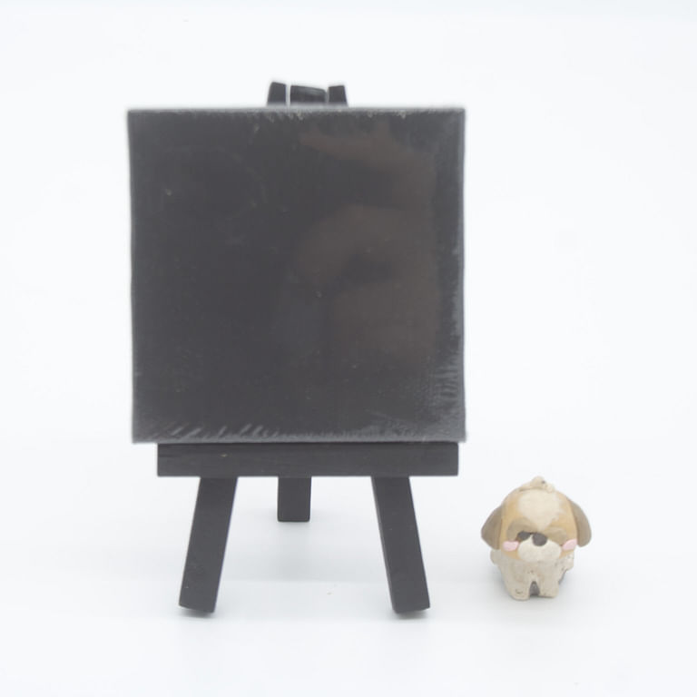 3x3 Black Mini Canvas