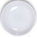 Porcelain Watercolor Dish